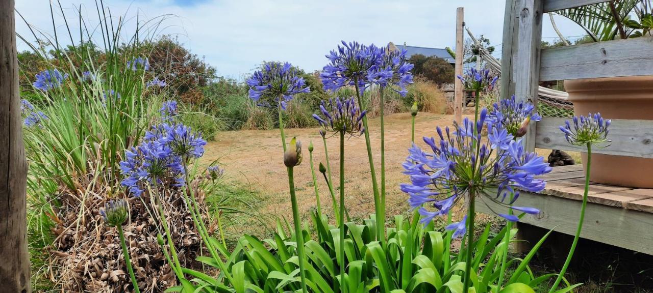 Dejeps Villa Punta Del Diablo Exterior photo